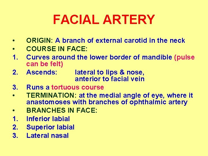 FACIAL ARTERY • • 1. 2. 3. ORIGIN: A branch of external carotid in