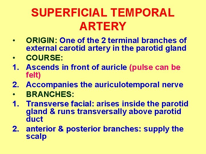 SUPERFICIAL TEMPORAL ARTERY • • 1. 2. ORIGIN: One of the 2 terminal branches