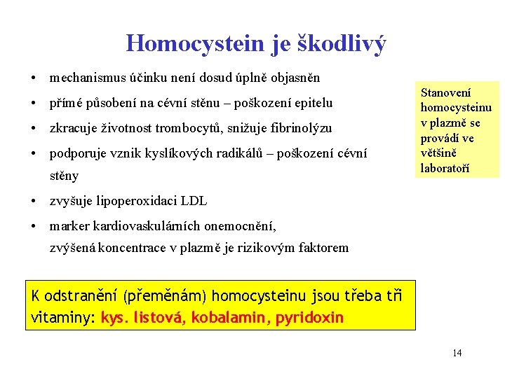 Homocystein je škodlivý • mechanismus účinku není dosud úplně objasněn • přímé působení na