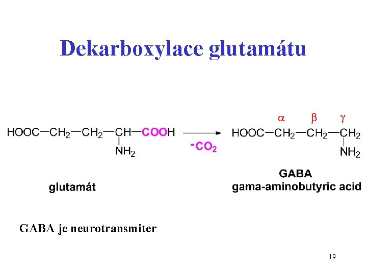Dekarboxylace glutamátu GABA je neurotransmiter 19 