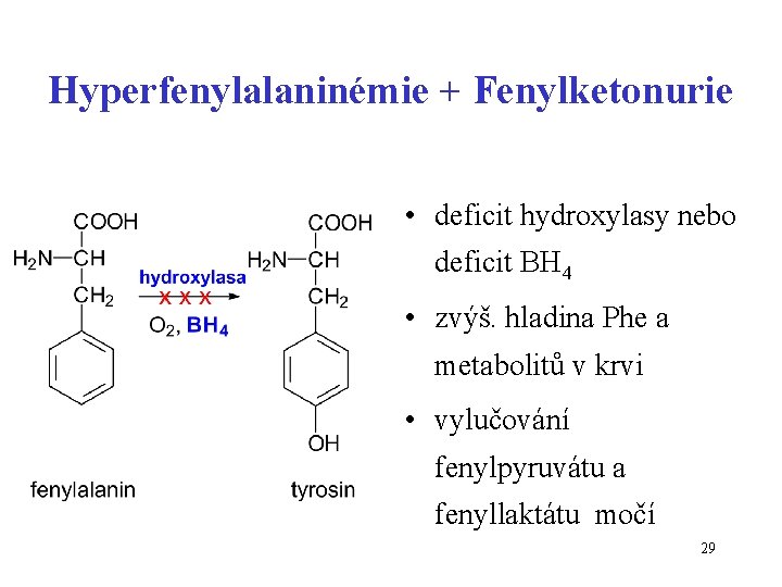 Hyperfenylalaninémie + Fenylketonurie • deficit hydroxylasy nebo deficit BH 4 • zvýš. hladina Phe