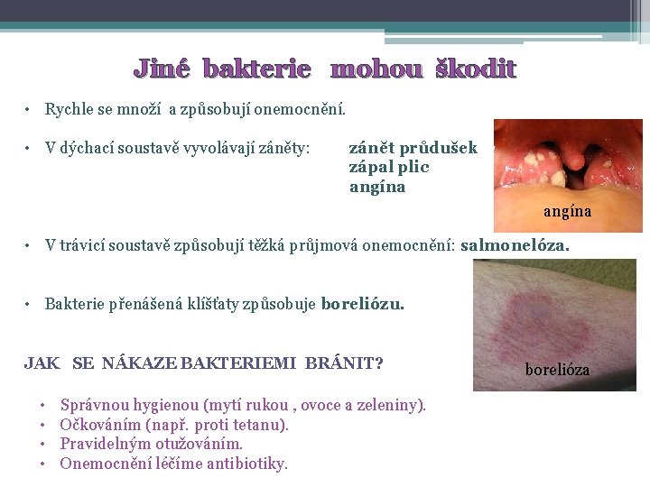 Jiné bakterie mohou škodit • Rychle se množí a způsobují onemocnění. • V dýchací