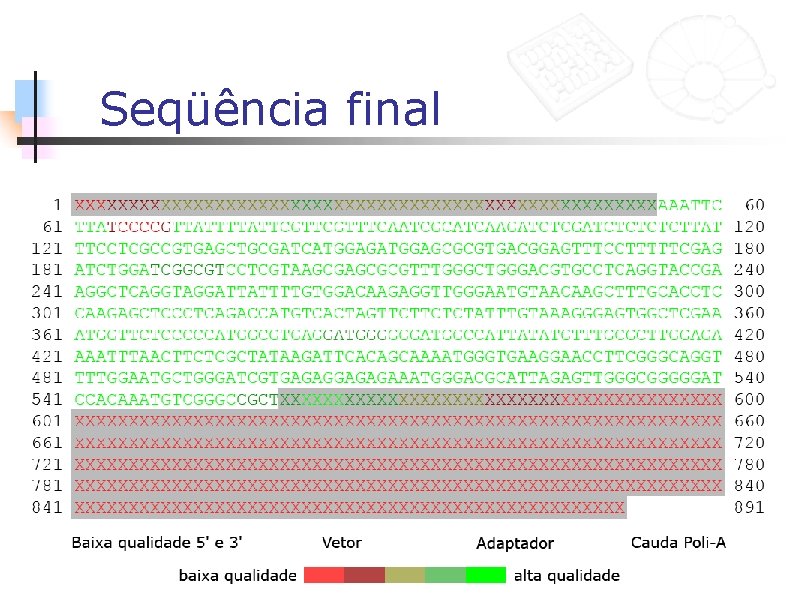 Seqüência final 