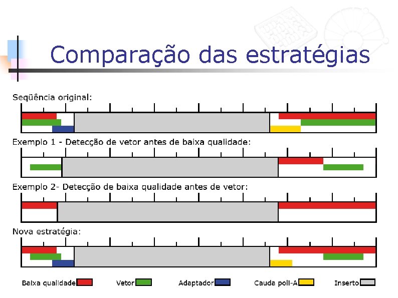 Comparação das estratégias 