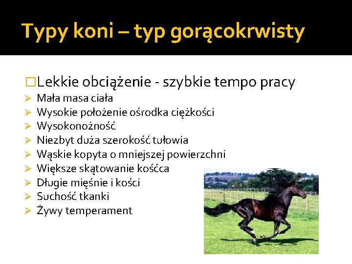 Typy koni – typ gorącokrwisty �Lekkie obciążenie - szybkie tempo pracy Ø Ø Ø