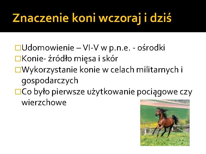 Znaczenie koni wczoraj i dziś �Udomowienie – VI-V w p. n. e. - ośrodki