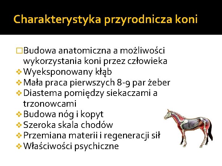 Charakterystyka przyrodnicza koni �Budowa anatomiczna a możliwości wykorzystania koni przez człowieka v Wyeksponowany kłąb