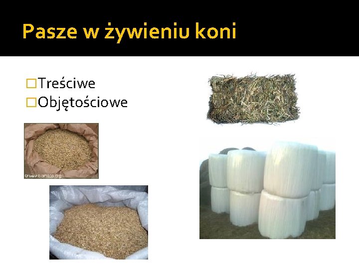 Pasze w żywieniu koni �Treściwe �Objętościowe 