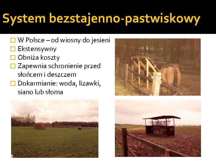 System bezstajenno-pastwiskowy � W Polsce – od wiosny do jesieni � Ekstensywny � Obniża