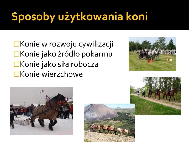 Sposoby użytkowania koni �Konie w rozwoju cywilizacji �Konie jako źródło pokarmu �Konie jako siła