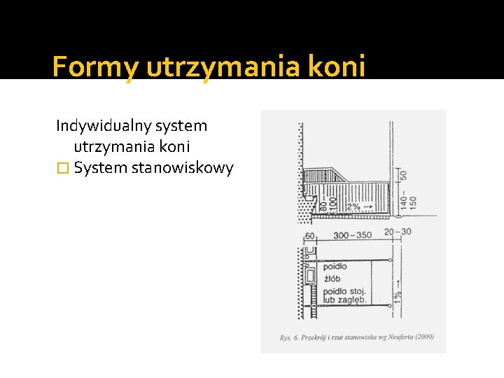 Formy utrzymania koni Indywidualny system utrzymania koni � System stanowiskowy 