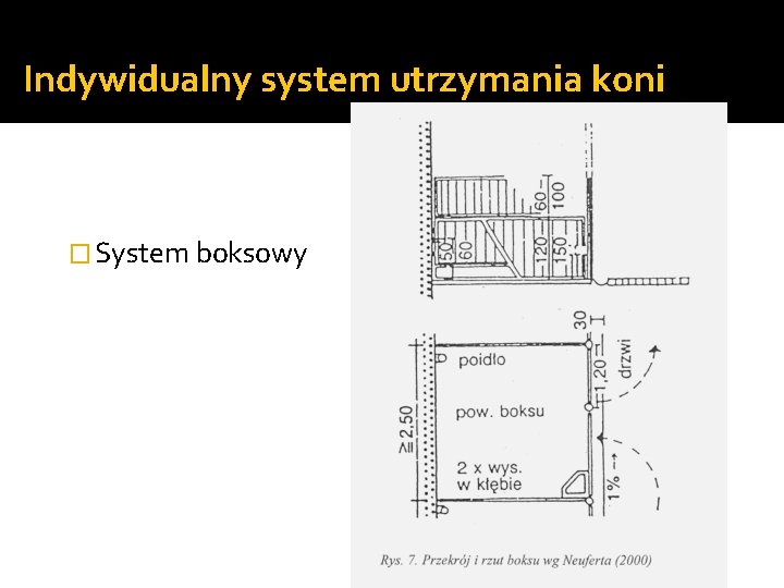 Indywidualny system utrzymania koni � System boksowy 