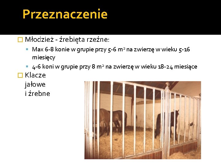 Przeznaczenie � Młodzież - źrebięta rzeźne: Max 6 -8 konie w grupie przy 5