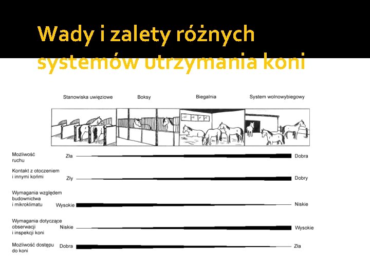 Wady i zalety różnych systemów utrzymania koni 
