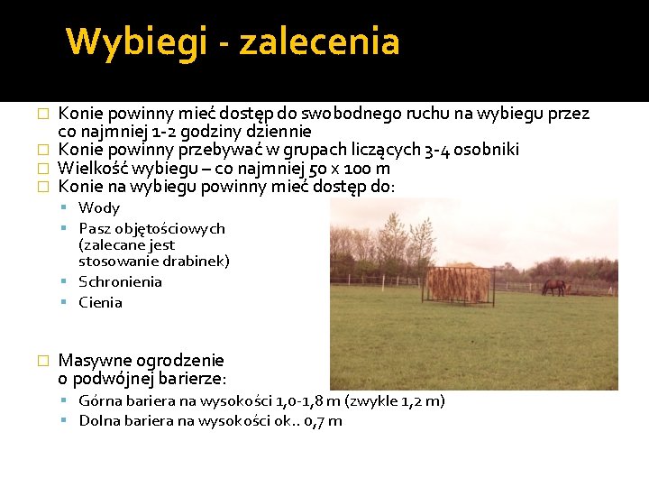 Wybiegi - zalecenia Konie powinny mieć dostęp do swobodnego ruchu na wybiegu przez co