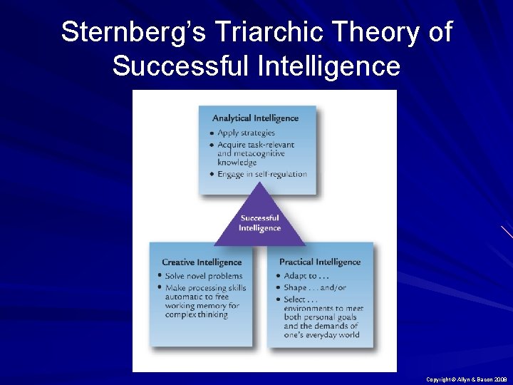 Sternberg’s Triarchic Theory of Successful Intelligence Copyright © Allyn & Bacon 2008 