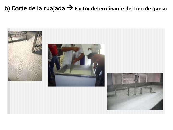 b) Corte de la cuajada Factor determinante del tipo de queso 