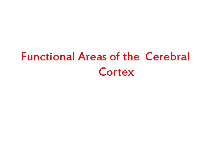 Functional Areas of the Cerebral Cortex 