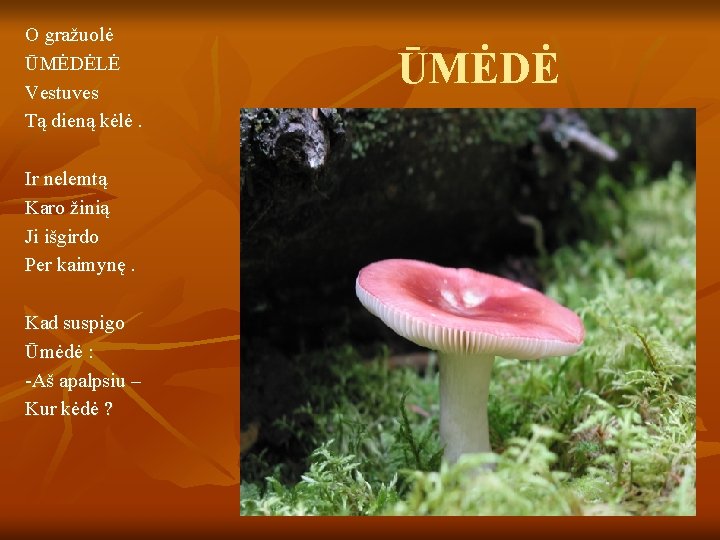 O gražuolė ŪMĖDĖLĖ Vestuves Tą dieną kėlė. Ir nelemtą Karo žinią Ji išgirdo Per