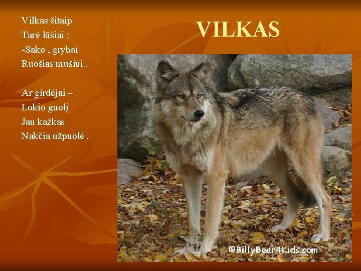Vilkas šitaip Tarė lūšiai : -Sako , grybai Ruošias mūšiui. Ar girdėjai – Lokio