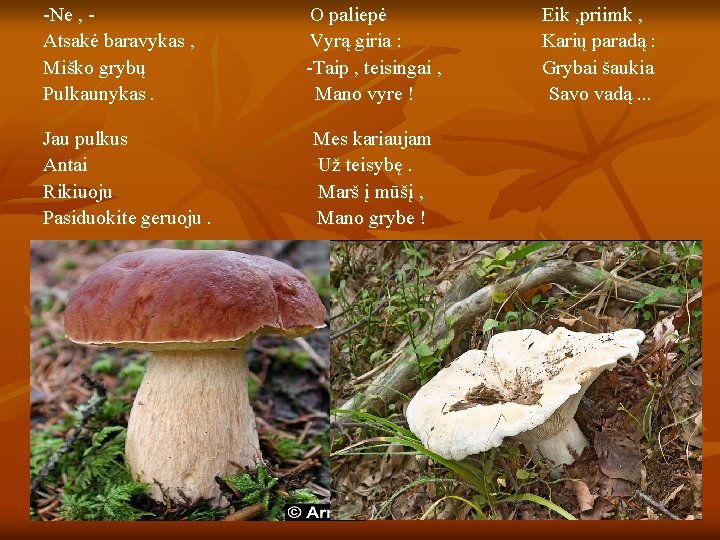 -Ne , Atsakė baravykas , Miško grybų Pulkaunykas. Jau pulkus Antai Rikiuoju Pasiduokite geruoju.