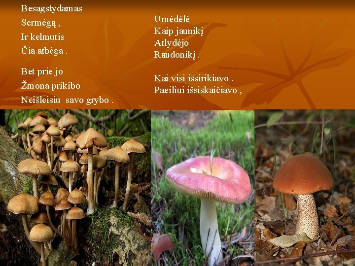 Besagstydamas Sermėgą , Ir kelmutis Čia atbėga. Bet prie jo Žmona prikibo Neišleisiu savo
