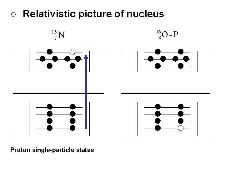 ○　Relativistic picture of nucleus Proton single-particle states 