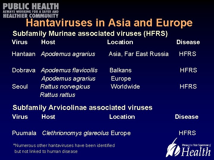 Hantaviruses in Asia and Europe Subfamily Murinae associated viruses (HFRS) Virus Host Location Disease