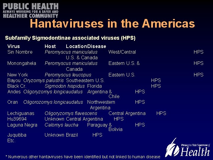 Hantaviruses in the Americas Subfamily Sigmodontinae associated viruses (HPS) Virus Host Location. Disease Sin