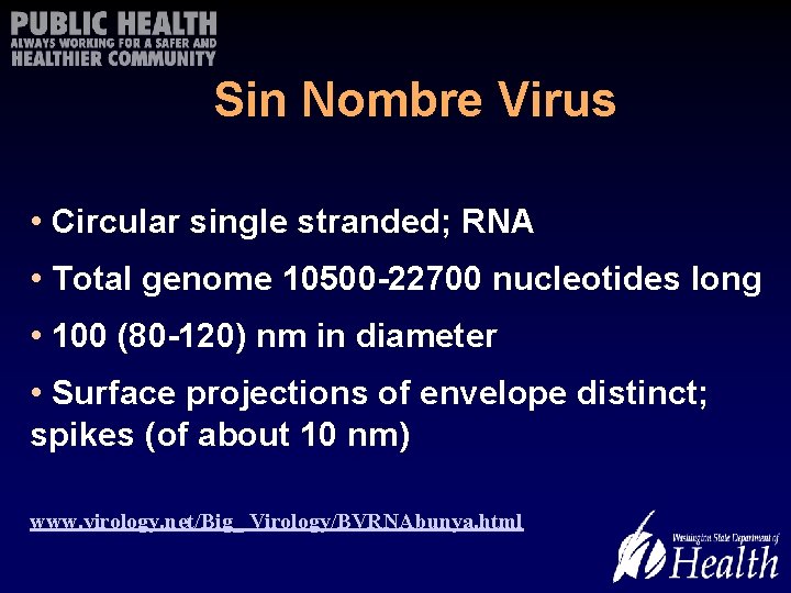 Sin Nombre Virus • Circular single stranded; RNA • Total genome 10500 -22700 nucleotides