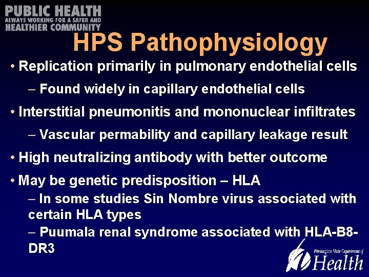 HPS Pathophysiology • Replication primarily in pulmonary endothelial cells – Found widely in capillary