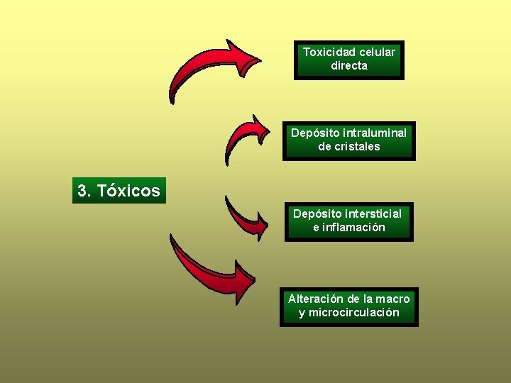 Toxicidad celular directa Depósito intraluminal de cristales 3. Tóxicos Depósito intersticial e inflamación Alteración