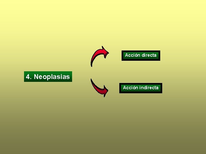 Acción directa 4. Neoplasias Acción indirecta 