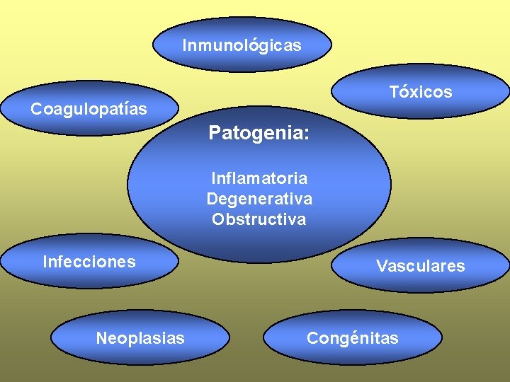 Inmunológicas Tóxicos Coagulopatías Patogenia: Inflamatoria Degenerativa Obstructiva Infecciones Neoplasias Vasculares Congénitas 