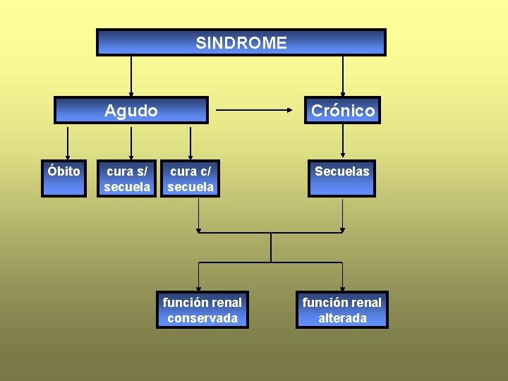 SINDROME Agudo Óbito cura s/ secuela Crónico cura c/ secuela función renal conservada Secuelas