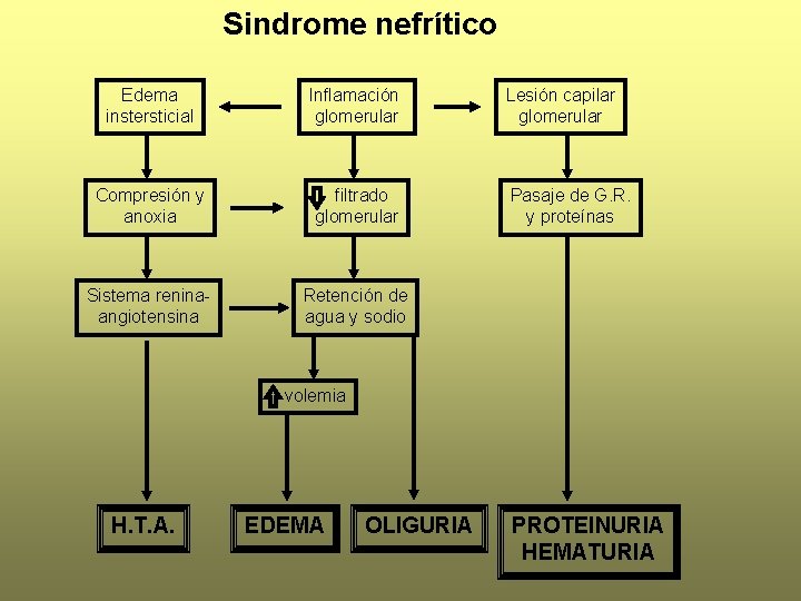 Sindrome nefrítico Edema instersticial Inflamación glomerular Compresión y anoxia filtrado glomerular Sistema reninaangiotensina Retención
