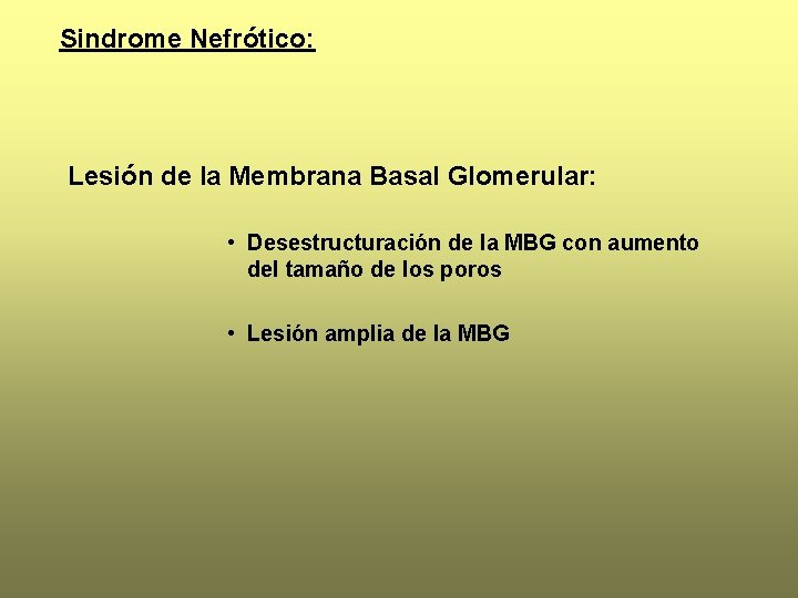 Sindrome Nefrótico: Lesión de la Membrana Basal Glomerular: • Desestructuración de la MBG con