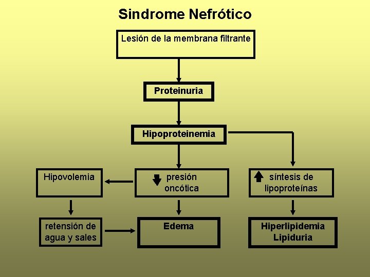 Sindrome Nefrótico Lesión de la membrana filtrante Proteinuria Hipoproteinemia Hipovolemia presión oncótica retensión de