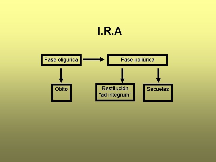 I. R. A Fase oligúrica Obito Fase poliúrica Restitución “ad integrum” Secuelas 