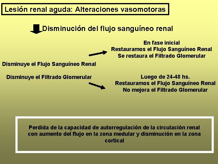 Lesión renal aguda: Alteraciones vasomotoras Disminución del flujo sanguíneo renal En fase inicial Restauramos