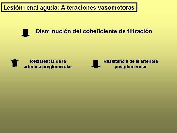 Lesión renal aguda: Alteraciones vasomotoras Disminución del coheficiente de filtración Resistencia de la arteriola