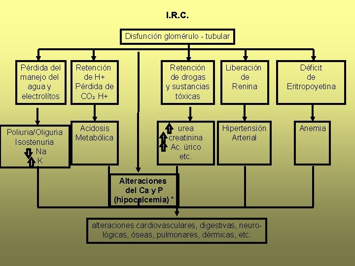 I. R. C. Disfunción glomérulo - tubular Pérdida del manejo del agua y electrolítos