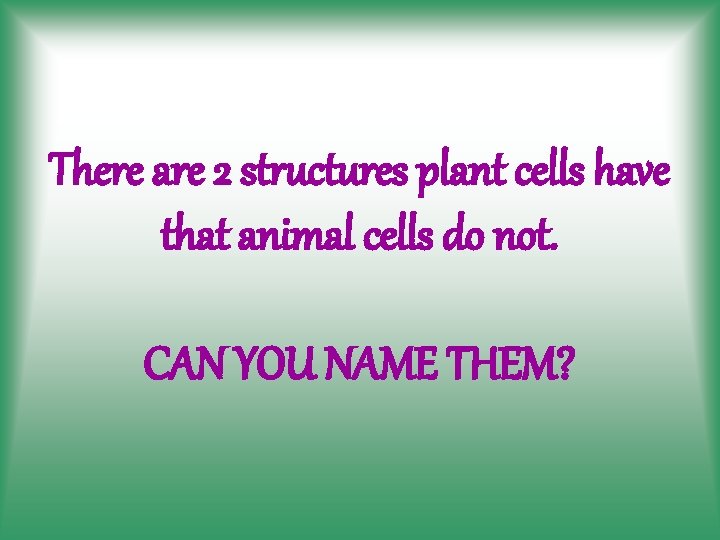 There are 2 structures plant cells have that animal cells do not. CAN YOU