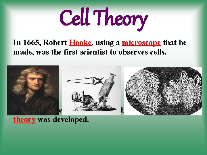 Cell Theory In 1665, Robert Hooke, using a microscope that he made, was the