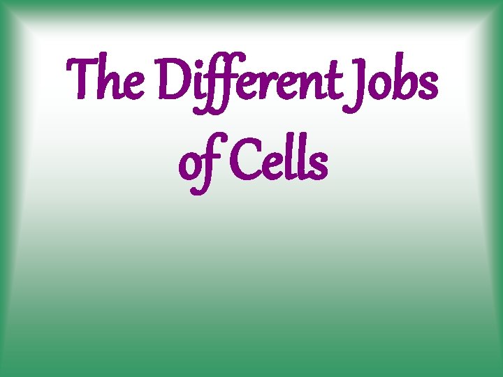 The Different Jobs of Cells 