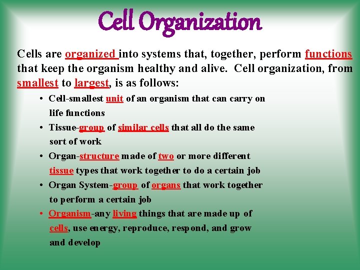 Cell Organization Cells are organized into systems that, together, perform functions that keep the