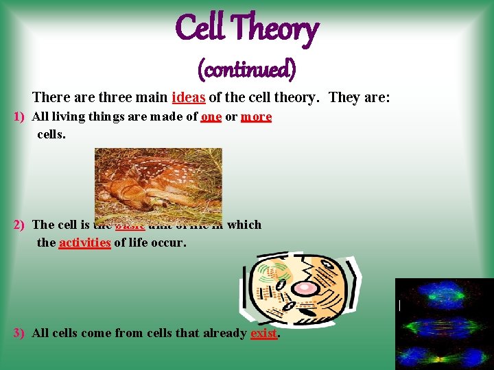 Cell Theory (continued) There are three main ideas of the cell theory. They are: