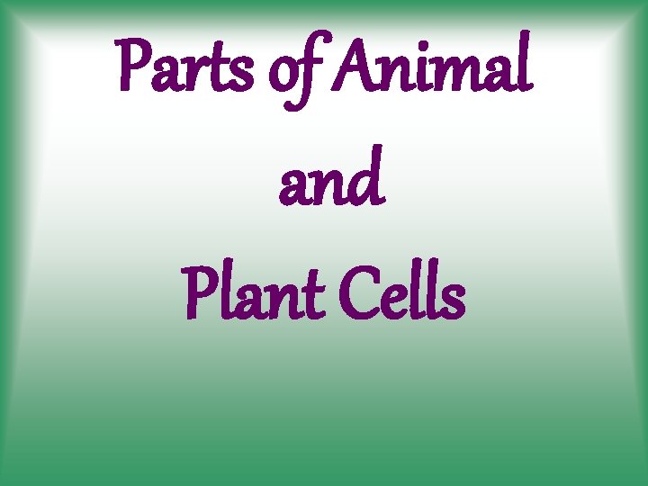 Parts of Animal and Plant Cells 