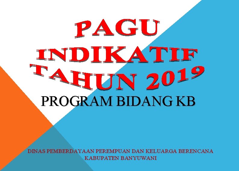 PROGRAM BIDANG KB DINAS PEMBERDAYAAN PEREMPUAN DAN KELUARGA BERENCANA KABUPATEN BANYUWANI 