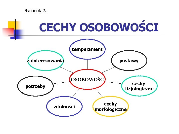 Rysunek 2. CECHY OSOBOWOŚCI temperament postawy zainteresowania OSOBOWOŚĆ potrzeby zdolności cechy fizjologiczne cechy morfologiczne